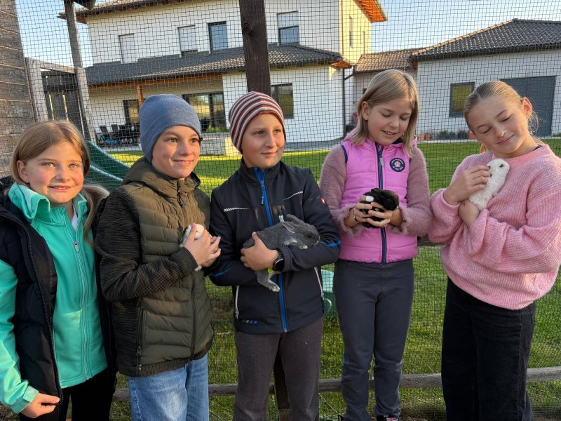 Welttierschutztag
